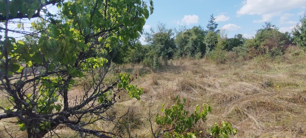 Продава се Парцел в с. Егълница, Област Перник - 1071 кв.м за 24 €/кв.м - Снимка #5