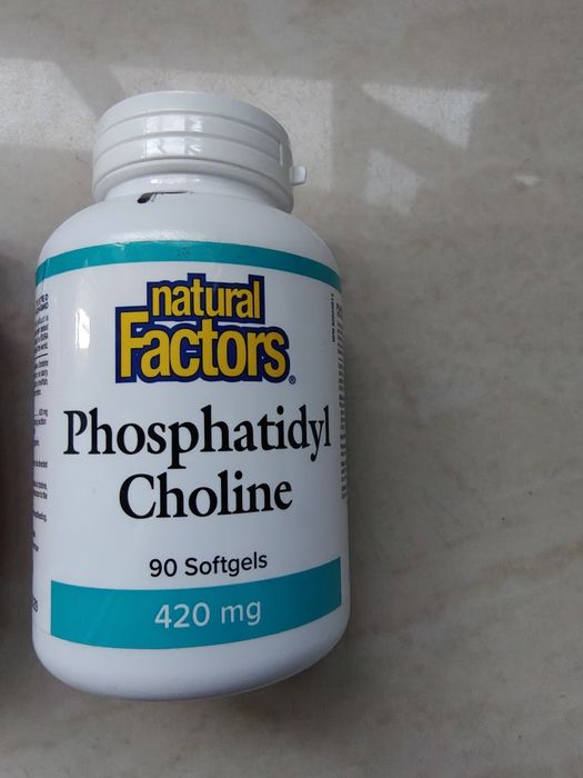 Phosphatidil Cholina, 90 capsule, NOU sigilat 

Choline