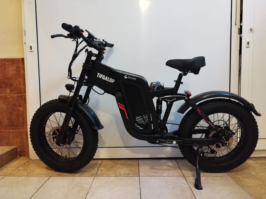 Fat Bike 20x4 dual motor