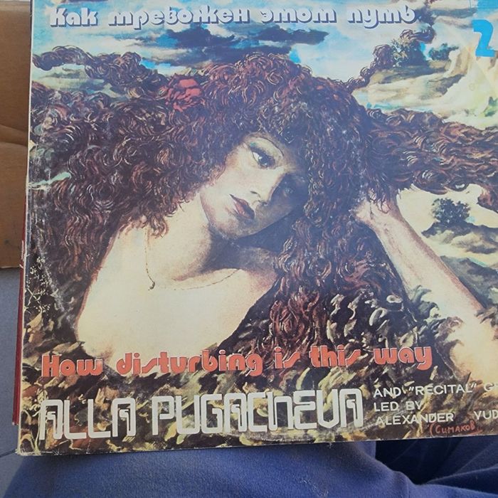 Виниловые пластинки разных исполнителей.