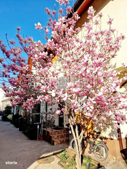 Vila de vanzare – mobilata si utilata/complex privat zona Pallady