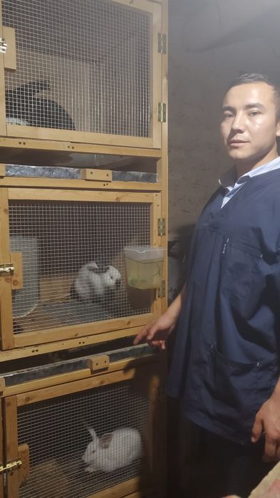 Veterinar xizmati