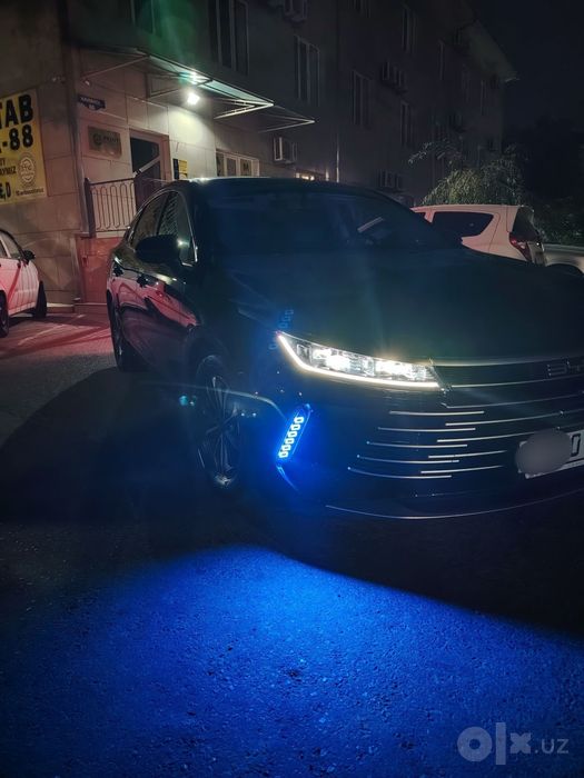 Byd chazor 55 km.