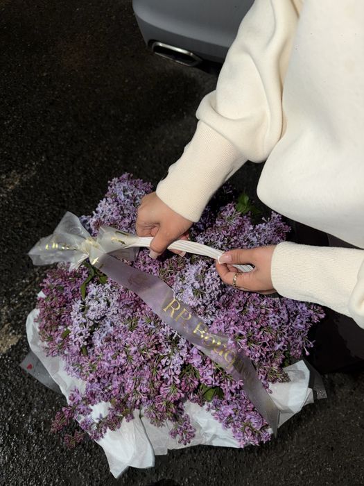 Сирень свежий казир