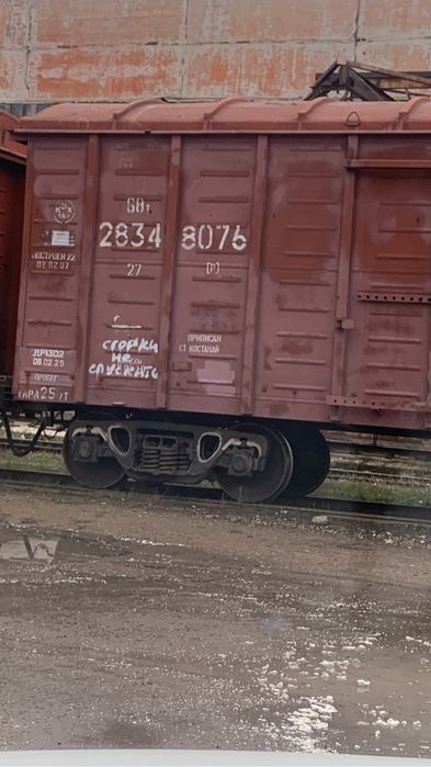 Арпа , ақбидай , ячмень , пшеница