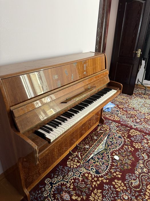 pionina kelishilgan narxda beraman