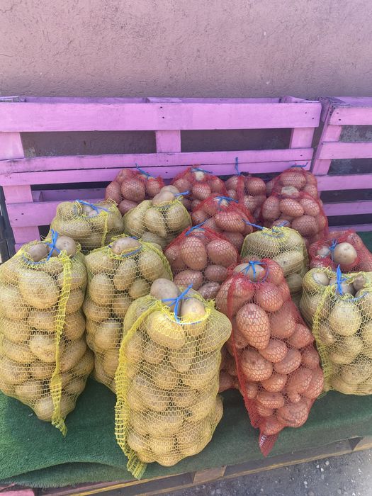 Vand cartofi de consum