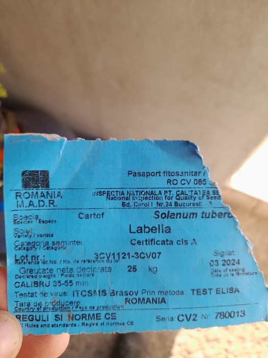 Cartofi samanta rosu Labella alb Ultra