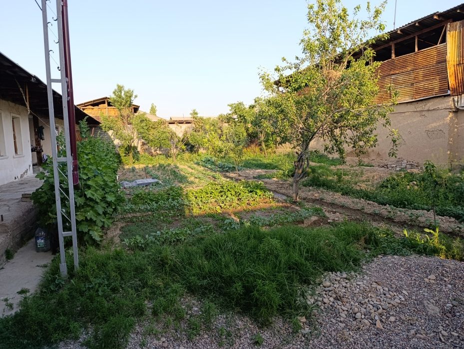 Жумабозор центрда Ховли сотилади