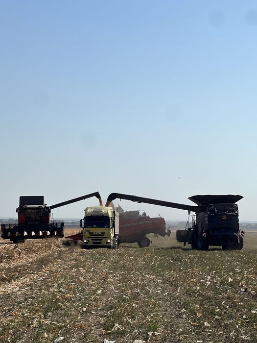 Massey Ferguson Ideal 9T