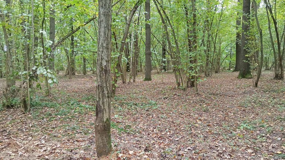 Но турар ер сотилади 20 сотих