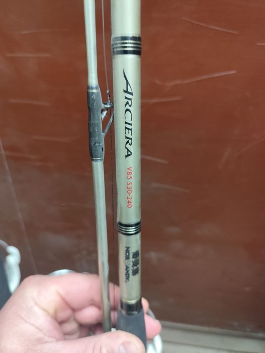 Въдици за тролинг