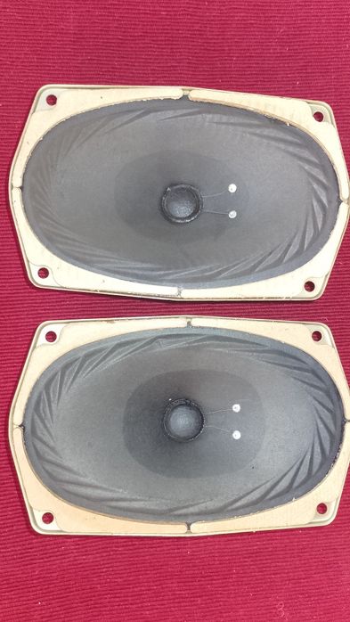 Широколентови руски говорители