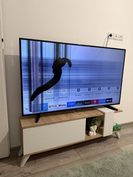 Televizor Samsung Smart