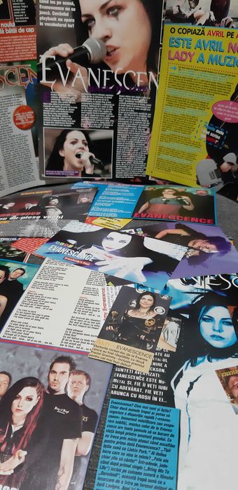 Colectie de articole cu Evanescence