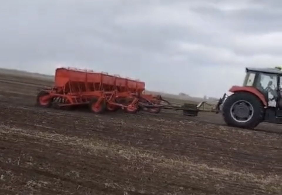 Сеялка сзт продам