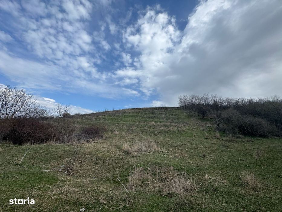 Teren 10233 mp extravilan Episcopia Oradea