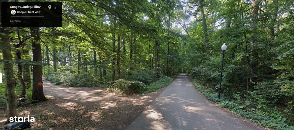 Teren de Vis pe malul lacului Snagov / 4000 mp in inima Naturii /40 m