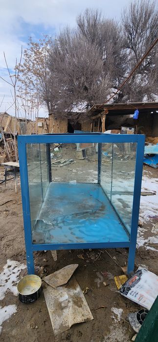 Akvarium baliq uchun