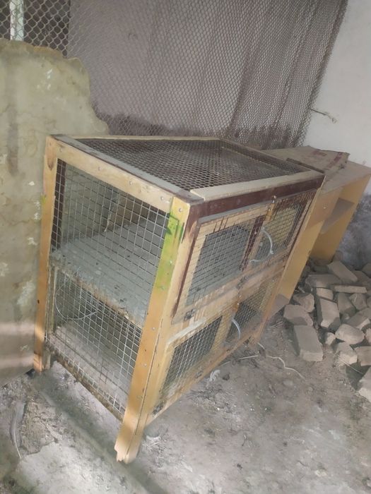 Сетка катак сотилади