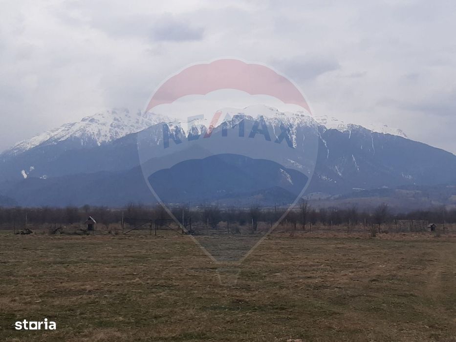 Teren 10,000mp Rasnov / Drumul Panicel