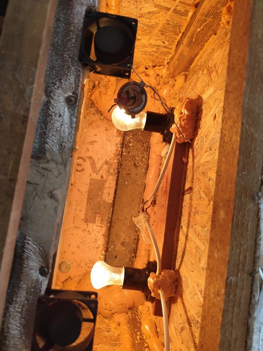 Инкуватор  тауыққа және тб