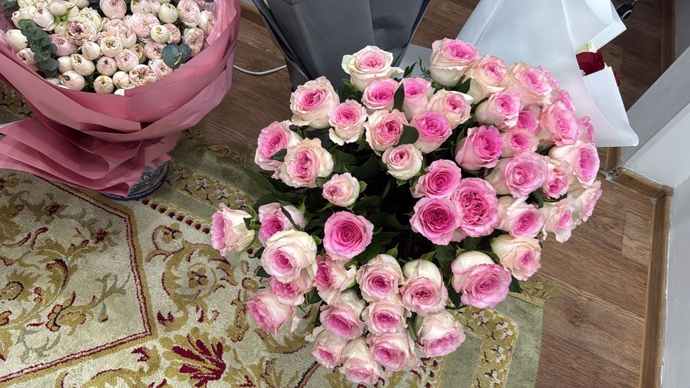 Свежий гулдер.  Тт