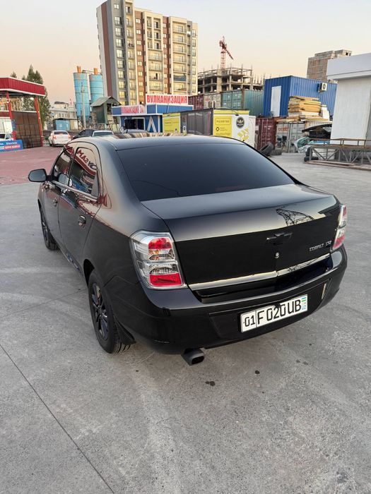 Cobalt MIDNAIT 2025г