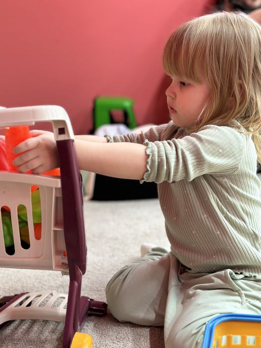 Волнистые попугаи, попугайчики