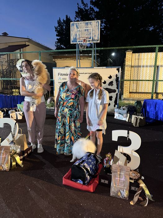 Немецкий шпиц ждёт девачак на вяску