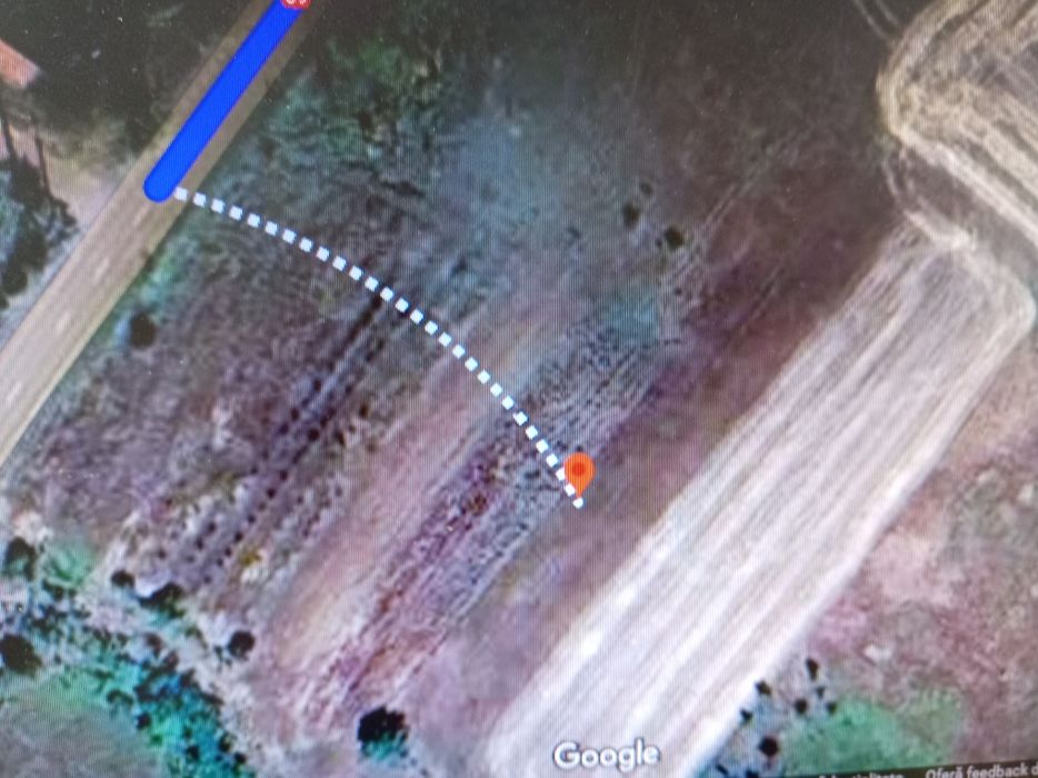 Teren Sagu industrial 1000 mp