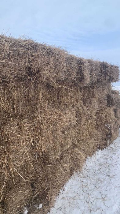 Продам сено в тюках