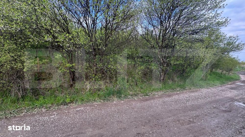 Teren extravilan de vanzare, 2.670 mp, Bistrita