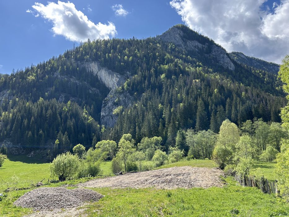 Teren intravilan Trei Fantani