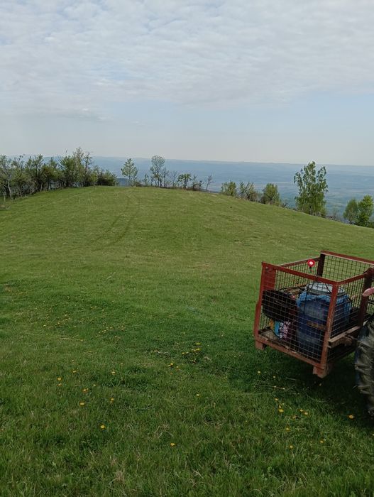 Vând teren în satul Târsa