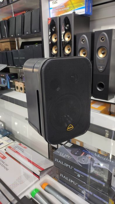 Настенная Потолочная акустика в широком ассортименте.