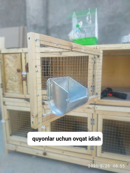 Quyonlar suv idishi poilka поилка