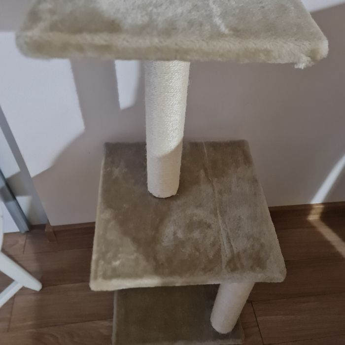 Котешка катерушка