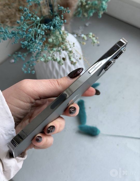 iPhone 13 ProMax 128Gb Graphic 100% Radnoy