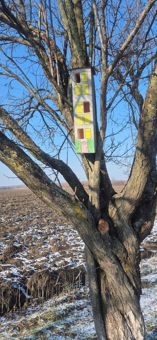 Casute din lemn pentru pasari