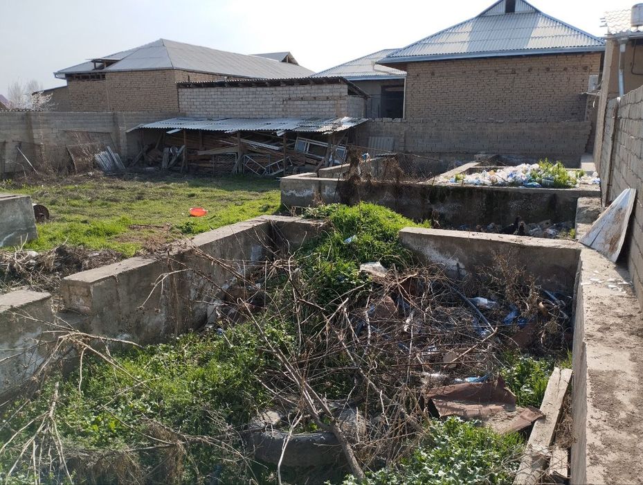 Shahrisabz yashil diyor