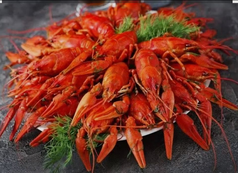 Раки варёные.Раки варёные.