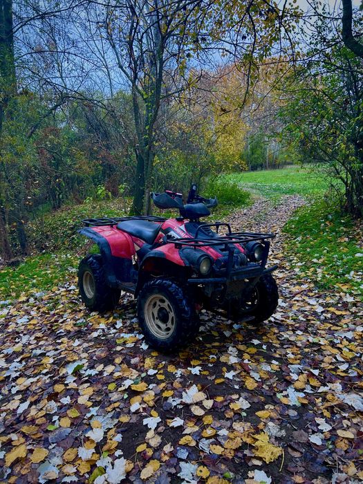 Vand Linhai Worker 300 4x4