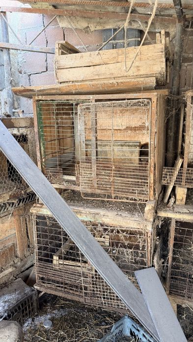 Клетки для кролов