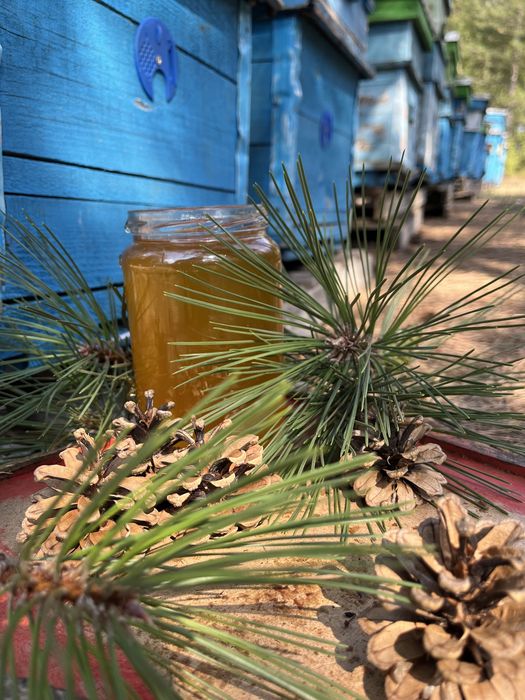 Мед-реколта 2025г.- букет- липа, акация и горски билки- /Пчелен прашец