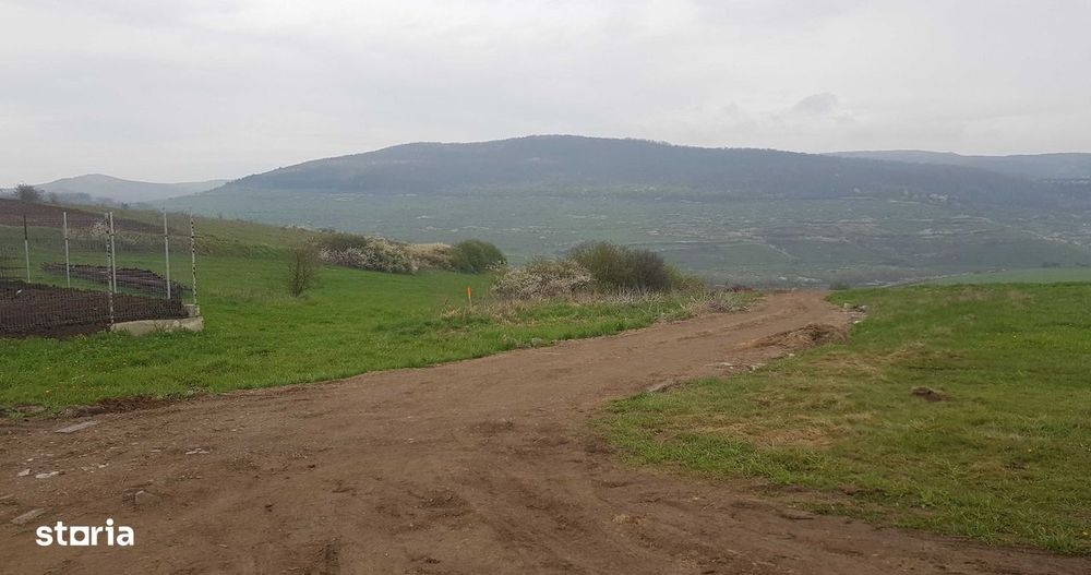 Teren intravilan 3750 mp, cu PUZ, zona platoului Radaia