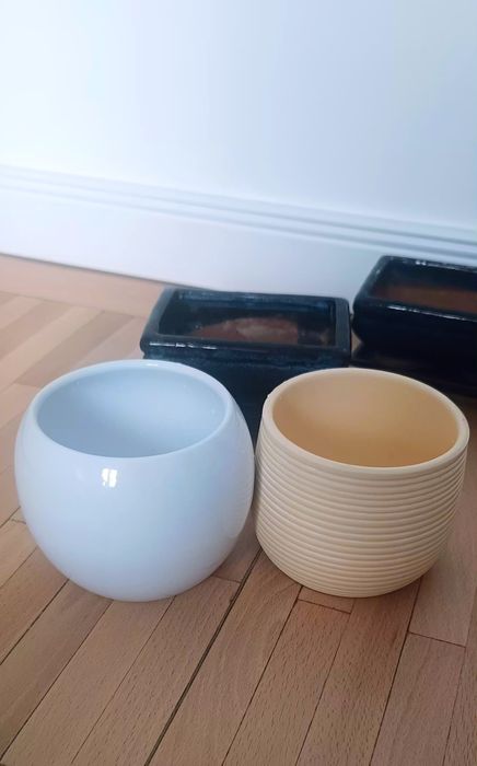 Ghivece bonsai si masti flori