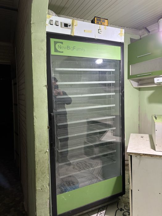 Инкубатор для птиц