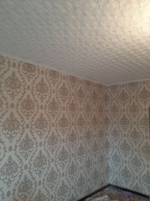 Qora qamish  arenda srocna