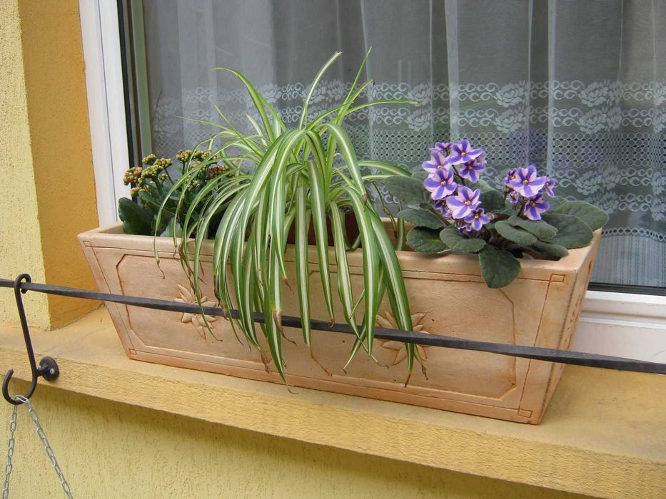 Ghivece de flori din beton